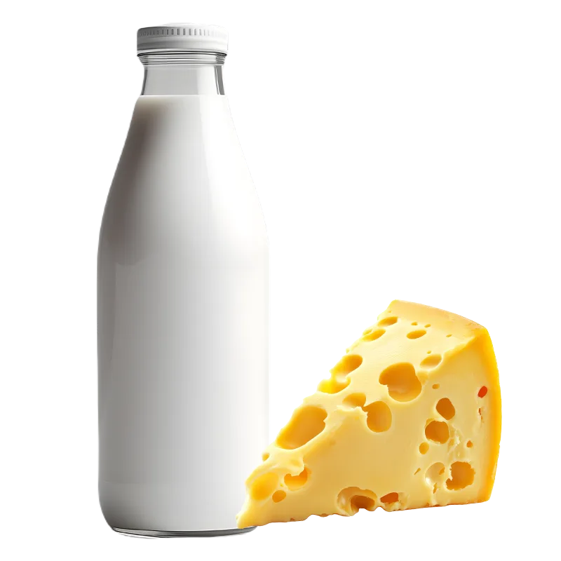 Süt & Süt Ürünleri